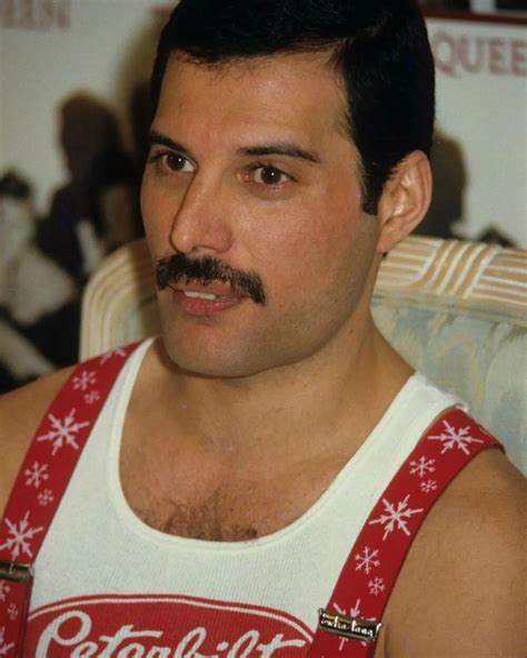 freddie mercury nude|Freddie Mercury – Wikipedia